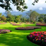 Day-trip-to-Hakgala-Botanical-Gardens-from-Nuwara-Eliya-1-1024x585